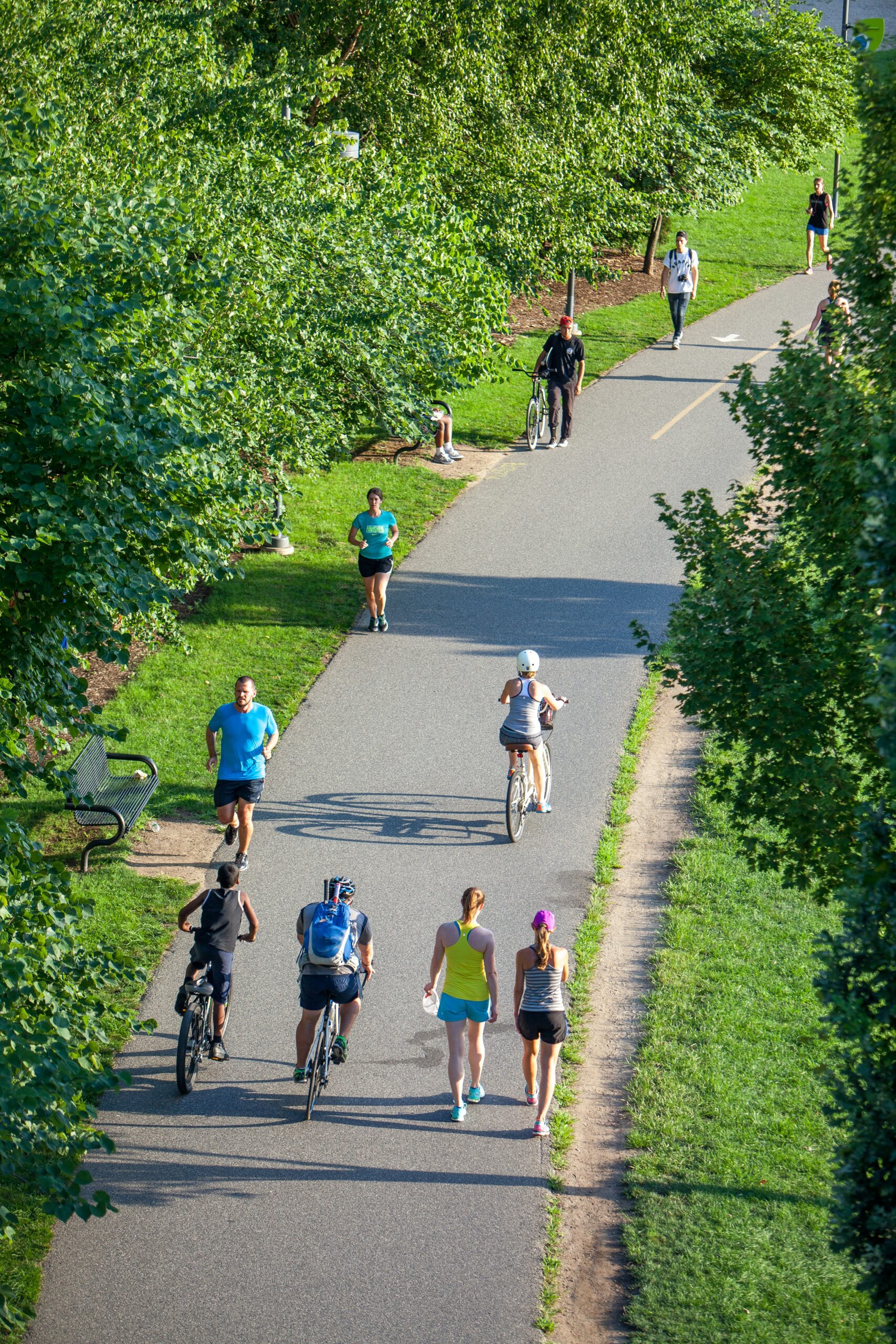 PARK RUNS